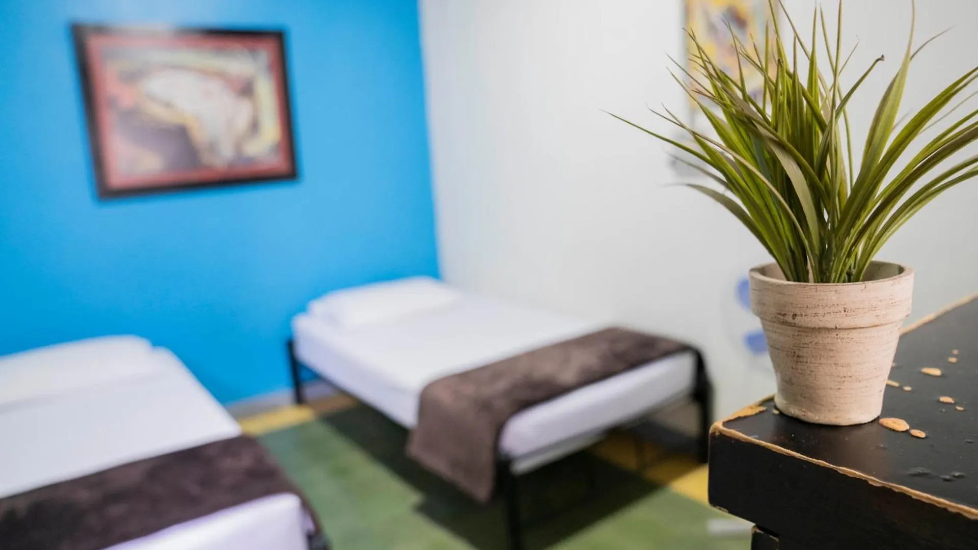 Hostal Casa Estacion Medellin Colombia