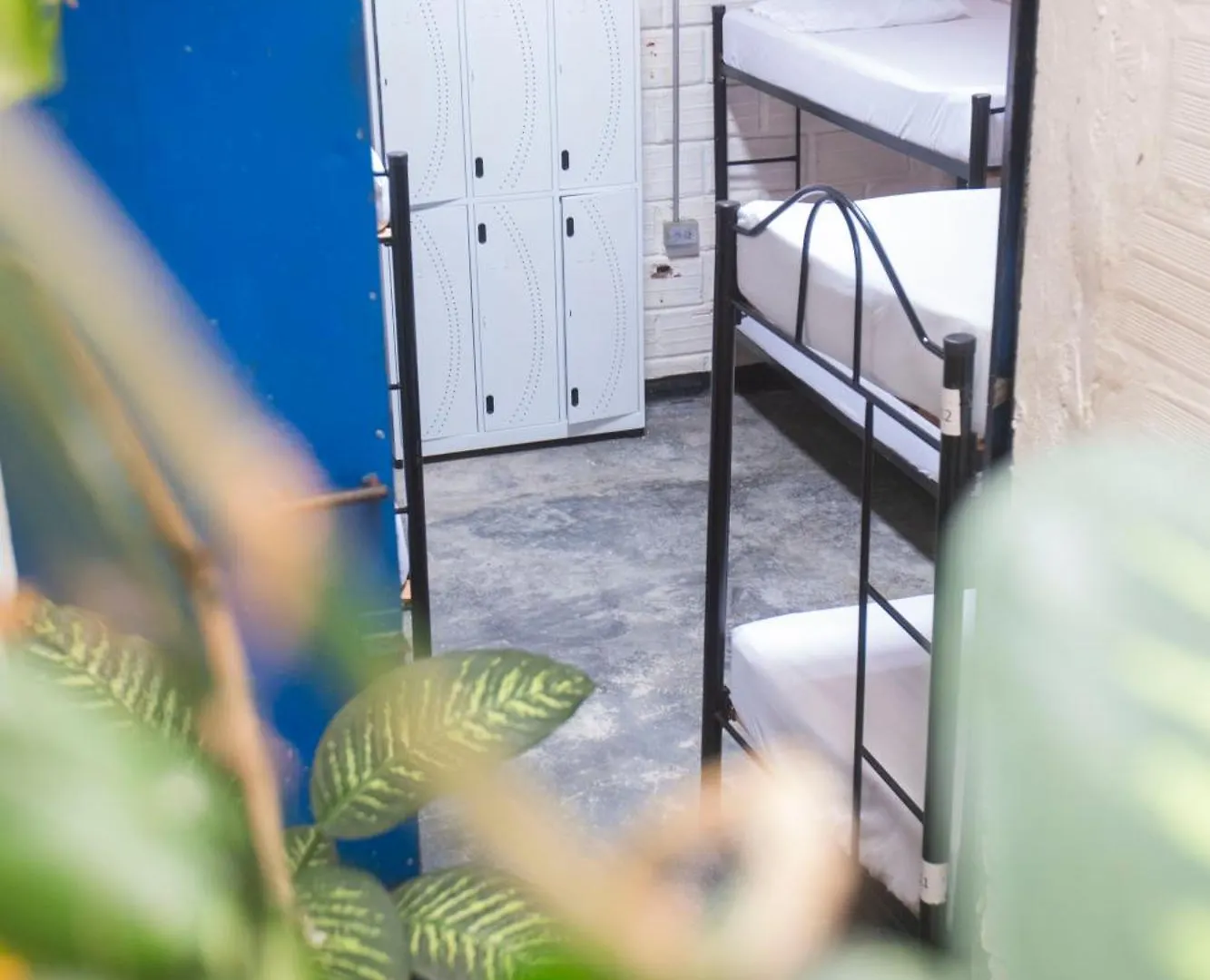 Hostel Hostal Casa Estacion Medellin