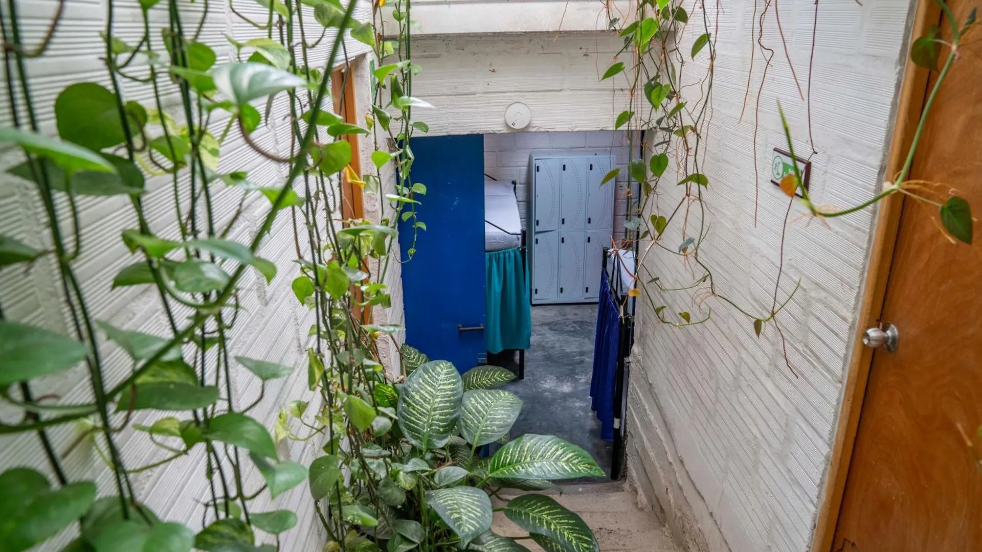 Hostal Casa Estacion Medellin